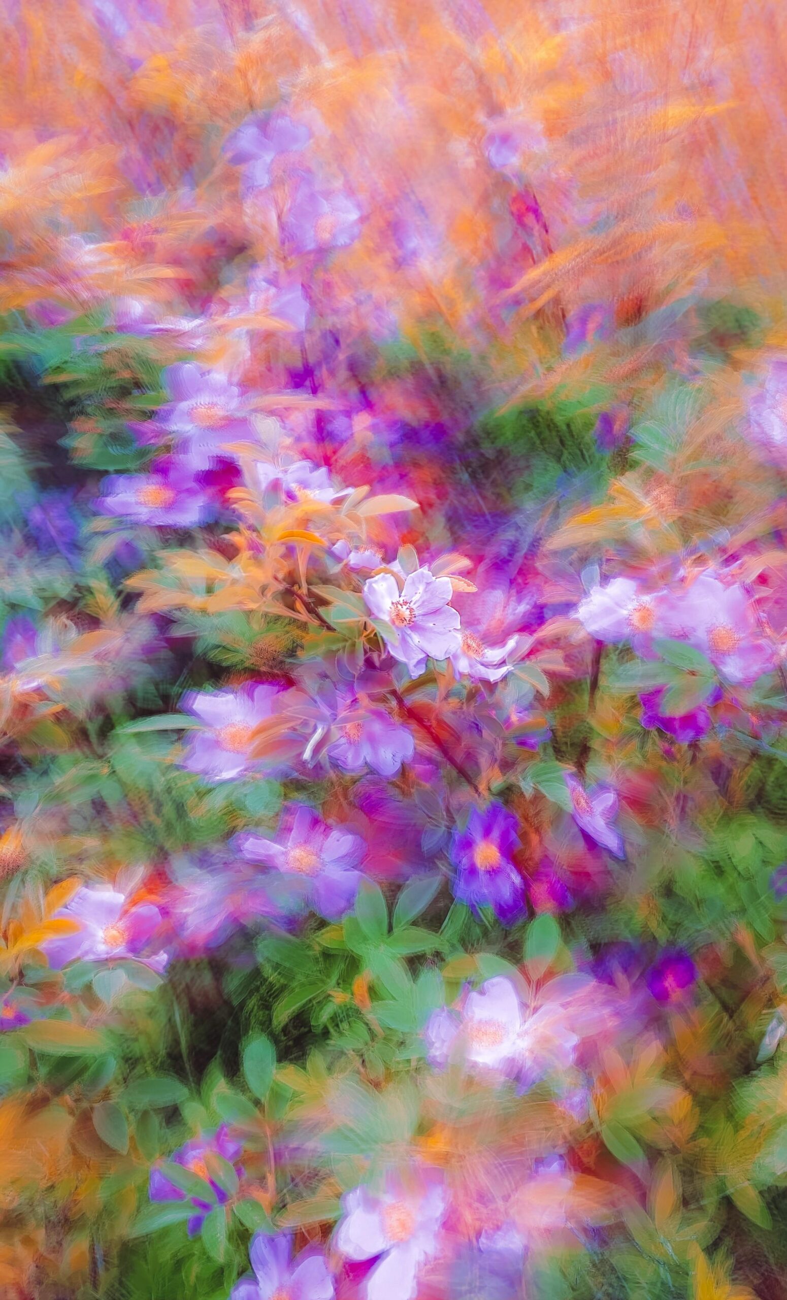 Al momento stai visualizzando “I FIORI DEL MALE” DI C. BAUDELAIRE: LA POESIA DELLO SPIRITO DI RICERCA