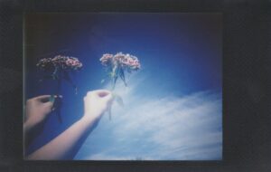 Scopri di più sull'articolo LA CURA: STRUMENTO DI PACE E DI RIVOLUZIONE