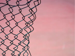 Scopri di più sull'articolo LA FIDUCIA: CONTINUARE A CREDERE SEMPRE