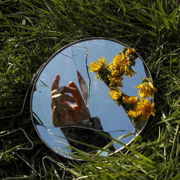 specchio rotto con fiori sopra